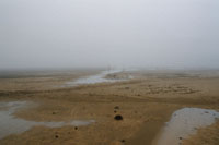 In der Wolke